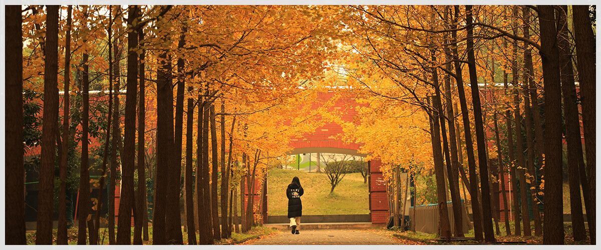 武汉设计工程学院